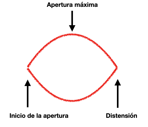 Esquema básico de los momentos de la sílaba